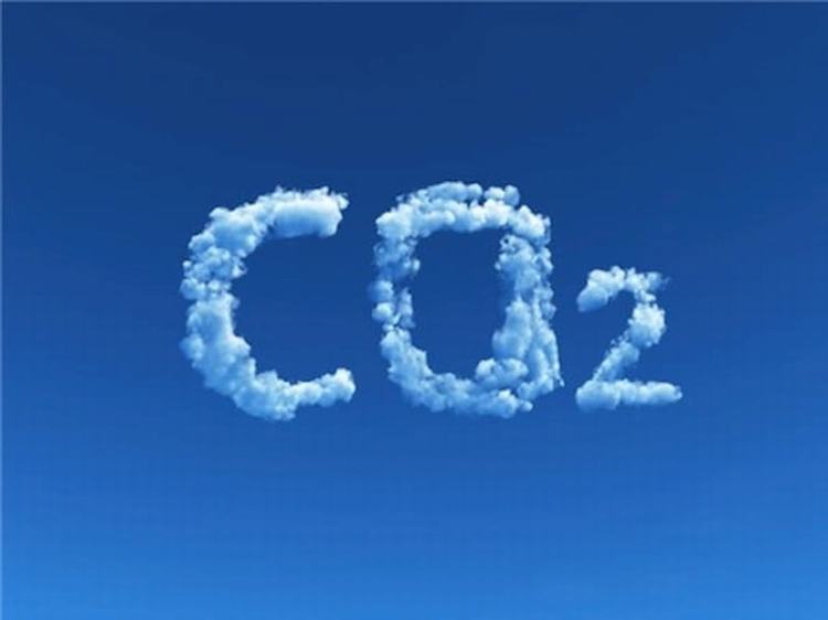 Vai trò CO2 trong đời sống và công việc